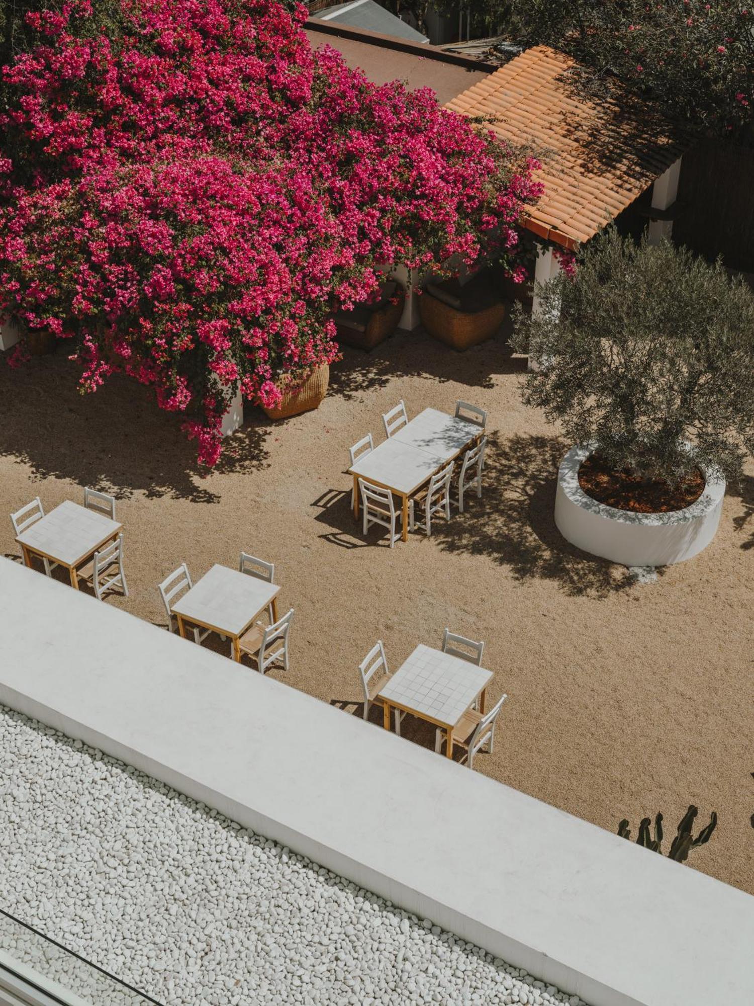 Ibara Ibiza Hotel Boutique Es Canar  Exterior photo